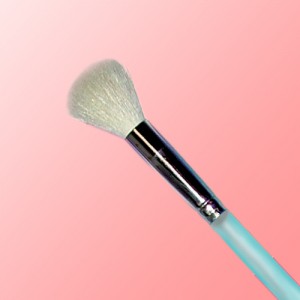 Specialty Brushes